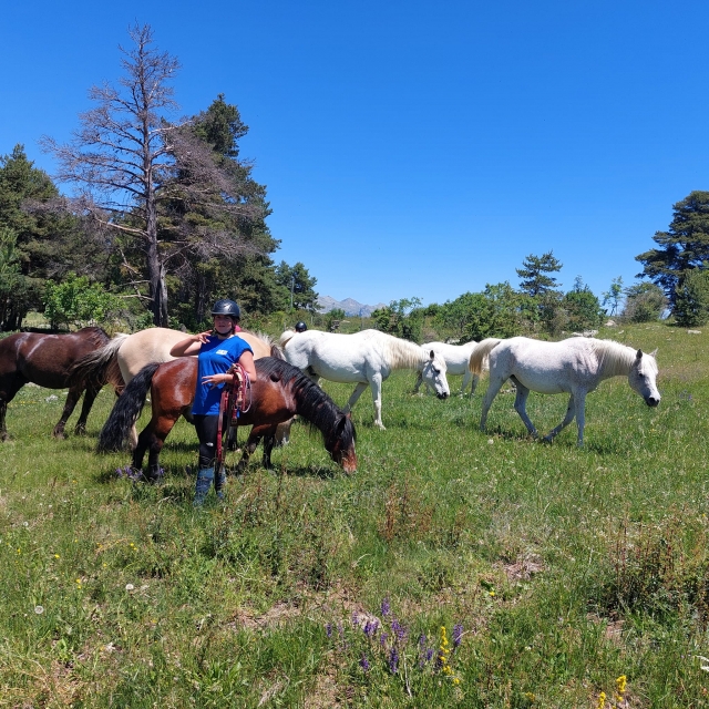  Descanso para los caballos 