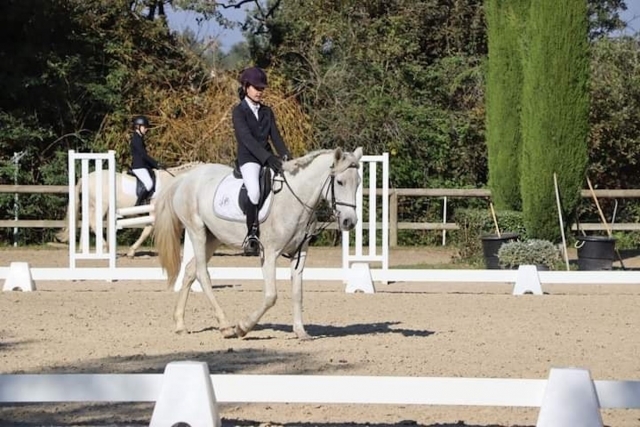  Addestramento del cavallo dal mantello beige 