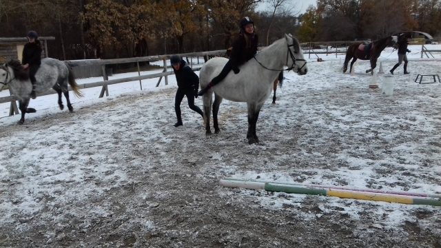 Balade à cheval dans les Alpes du Sud, pendant l'hiver