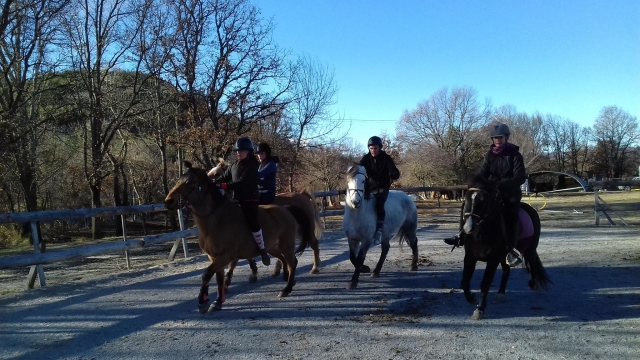 Découverte des Alpes-de-Haute-Provence et de ses forêts au dos d'un cheval