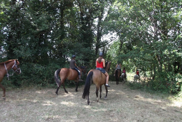  Passeggiata a cavallo nella foresta 