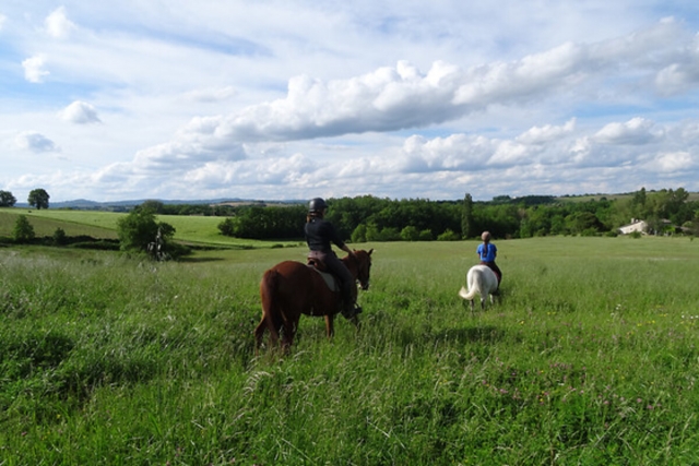 Venite a godervi il bel tempo a cavallo! 