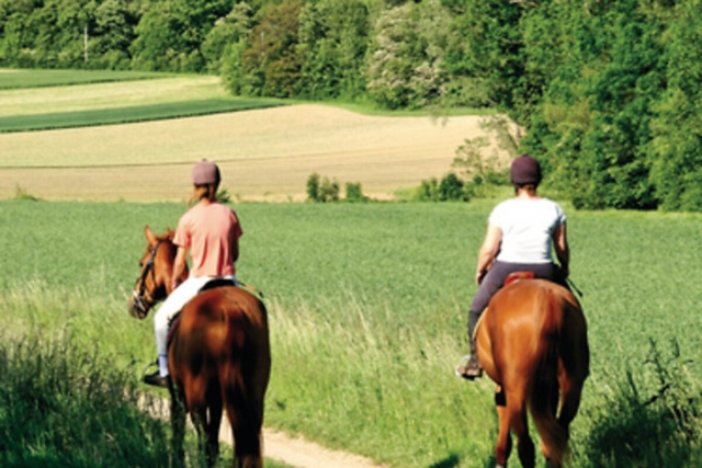  Passeggiata a cavallo sui sentieri dell'Occitania 