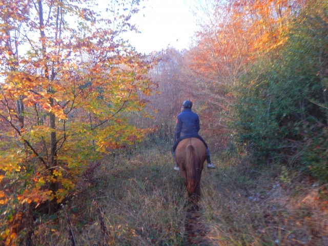  Immersion in nature 