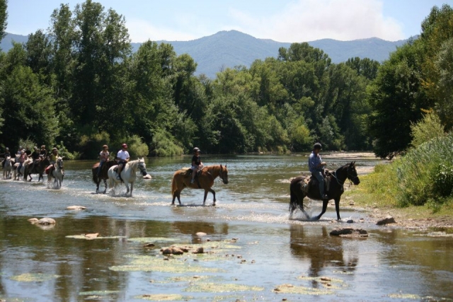  Reiten in der Gruppe 