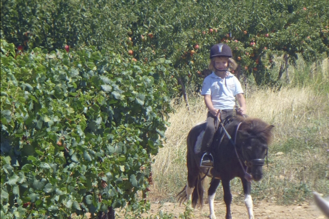  Paseos a caballo en el Aude 