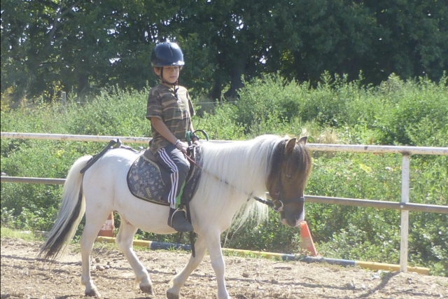 Nos concentramos en guiar bien el pony 