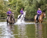 Balade à cheval à Mirepeisset - 2h