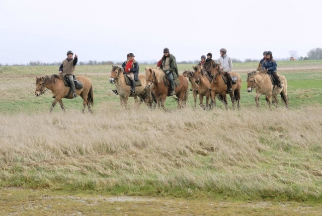  Avventura a cavallo. 