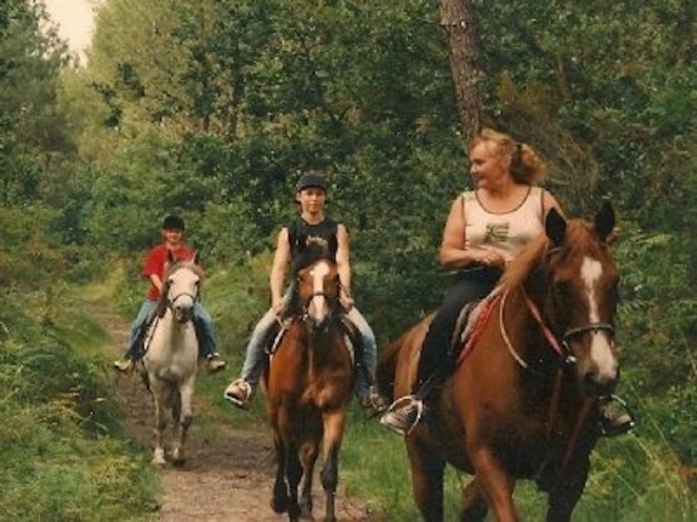  Paseos a caballo en Gironda. 