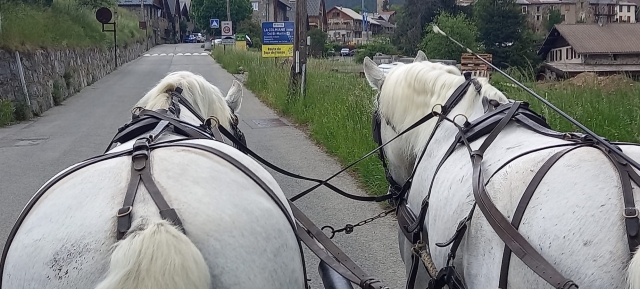  Passeggiata rilassante. 