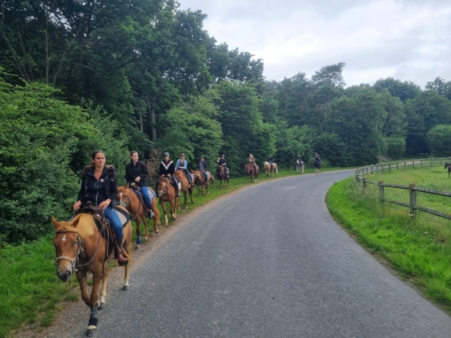  Randonnée à cheval au bord de la route 