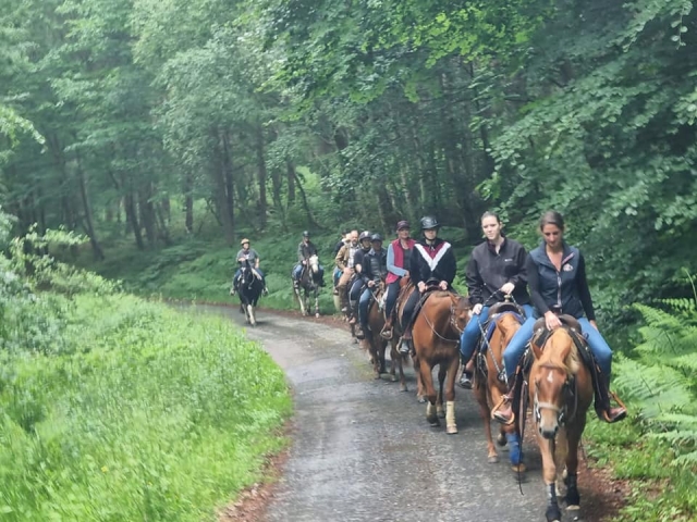 Passeggiate a cavallo sui sentieri forestali della Normandia 