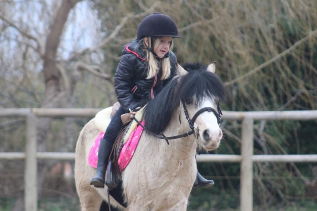  Un participante en un pony. 