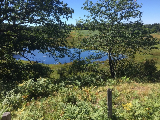 Panorama de la nature de Tauves