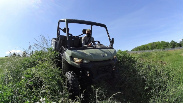  Descoberta de campos em buggy. 