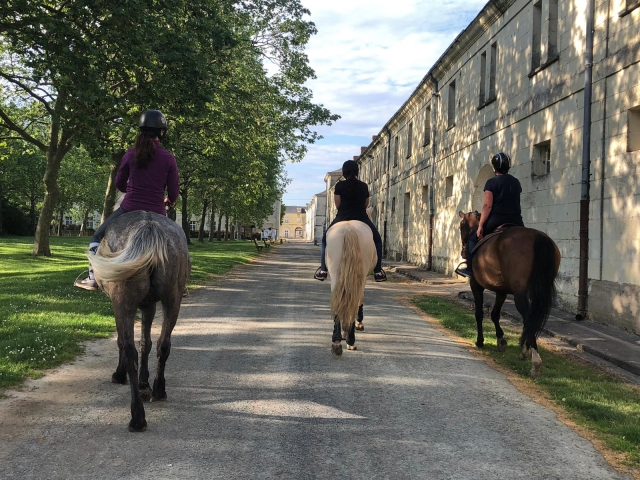  Scoperta della città di Roiffe a cavallo 