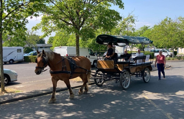  Una magnifica carrozza 