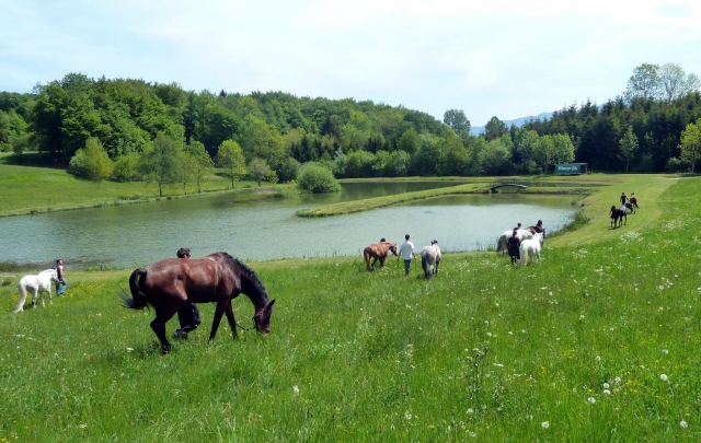 Alla scoperta del lago a cavallo 
