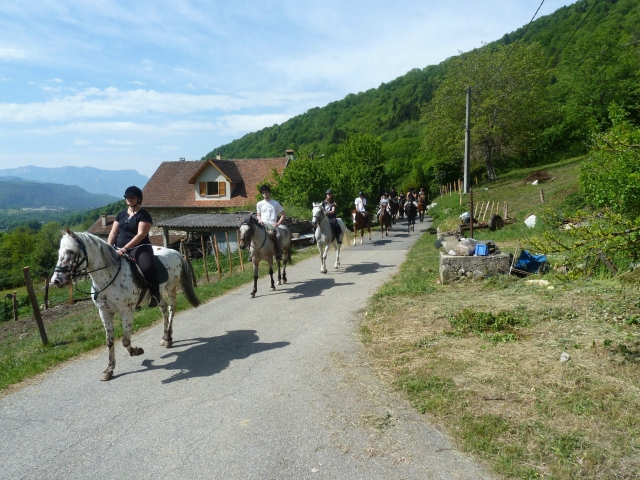  Tutto online per scoprire le alture del villaggio