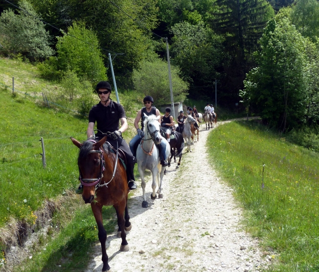  Sentiero tra prati e boschi nell'Alvernia-Rodano-Alpi 
