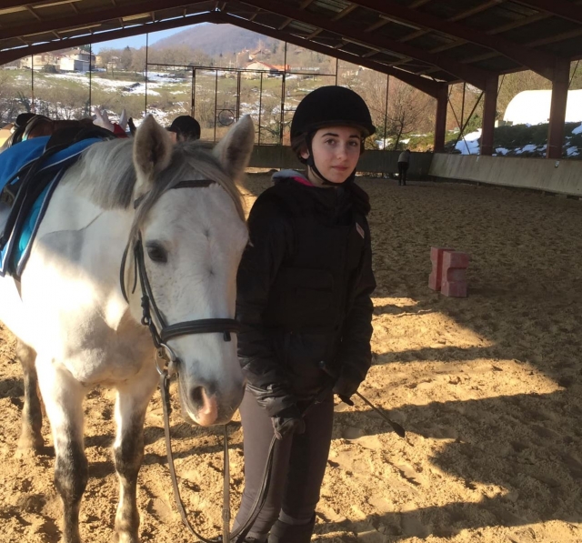 Au contact des chevaux 
