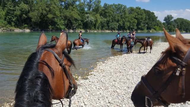  ¡Hora de comer para los caballos! 
