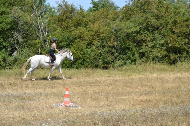 Appretissage de l’équitation.