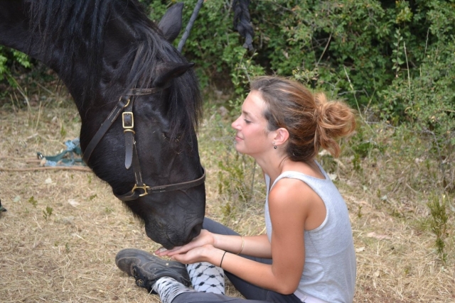 Complicités avec les Chevaux.