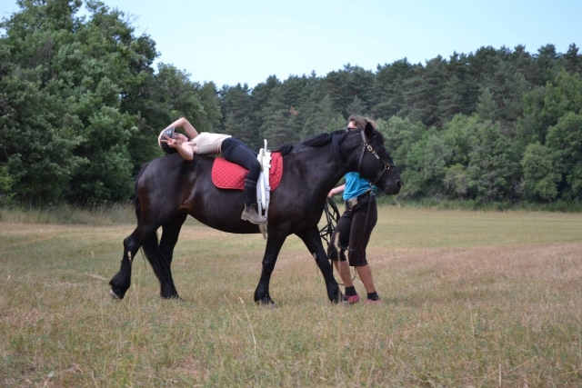 Relaxation sur le dos du cheval.