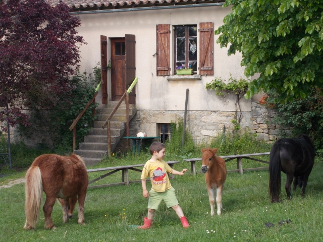  Descubrimiento de la naturaleza y los ponis de Aveyron 