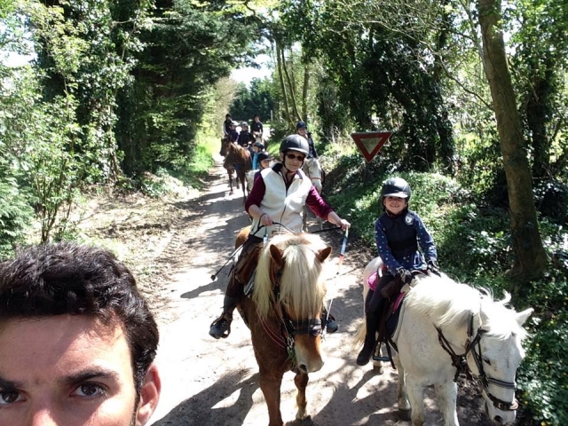  Ponyreiten im Wald 