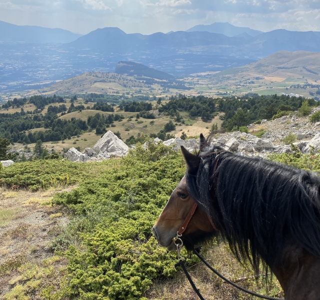  Paseos a caballo en un entorno idílico 