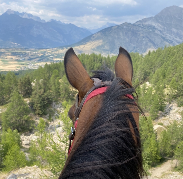  Admiración de los magníficos paisajes de los Altos Alpes 