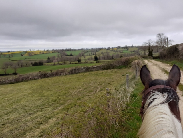  cruzando as grandes extensões de campos a cavalo 