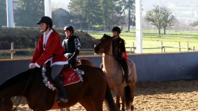  Vorbereitung auf das Reiten 