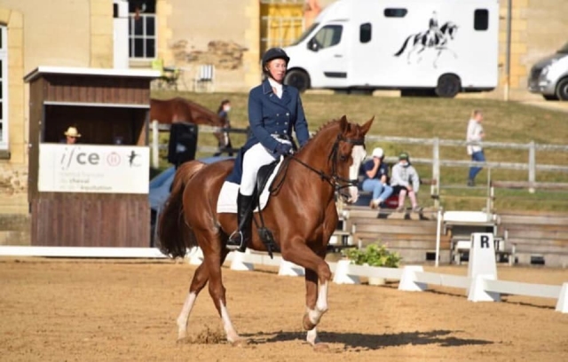  cavalos suntuosos 