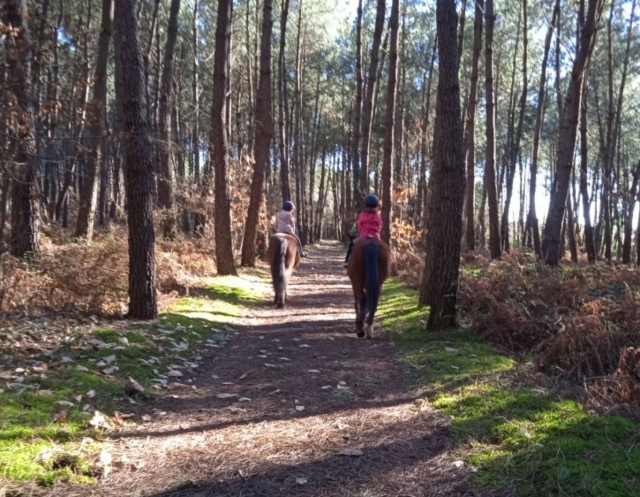 Une activité en pleine nature 