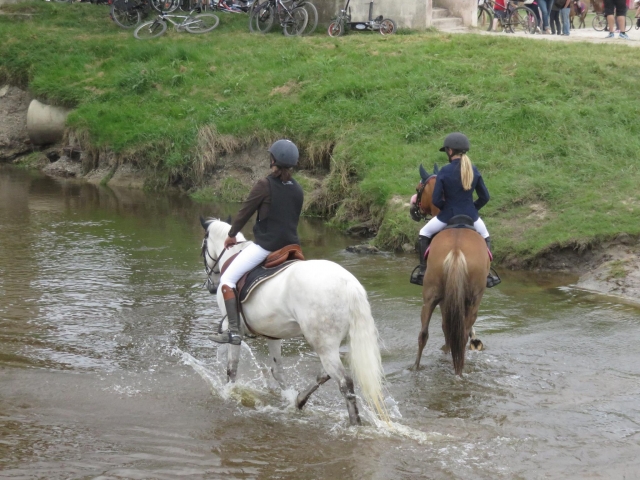  Paseo refrescante a caballo 