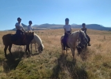 Balade à cheval 1h - Parc volcans d'Auvergne