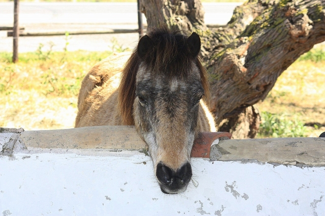  Ich warte auf deinen Besuch... 