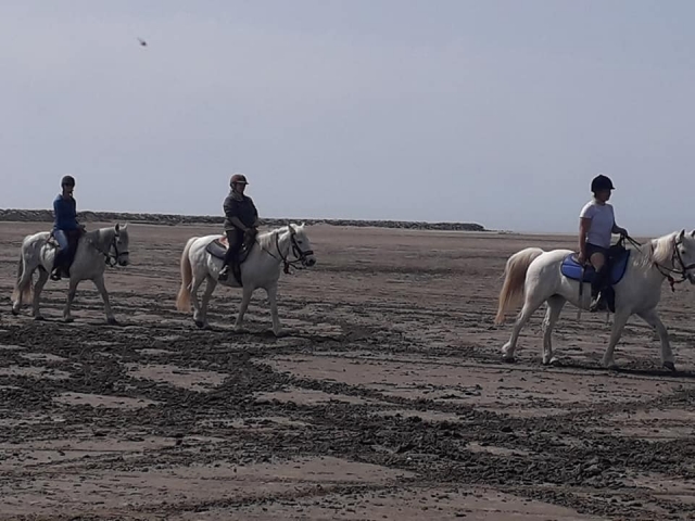  在沙滩上骑马 