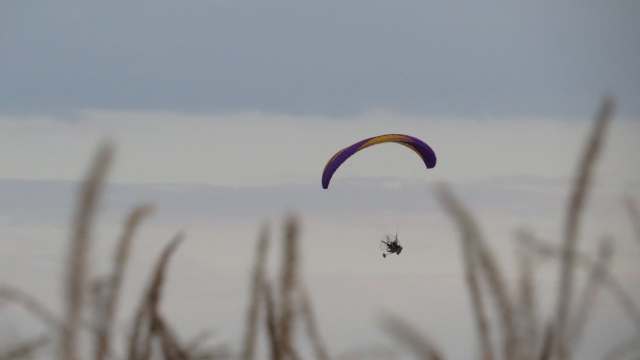  Flight over fields 