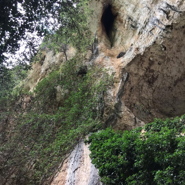 Acantilado salvaje en Vallon Pont d'Arc 