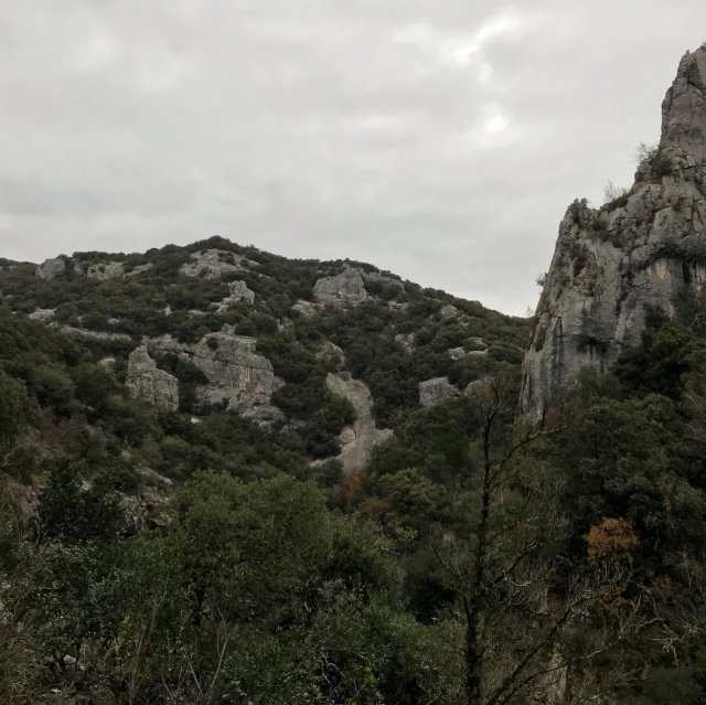  Paisaje verde y natural en Ardèche 