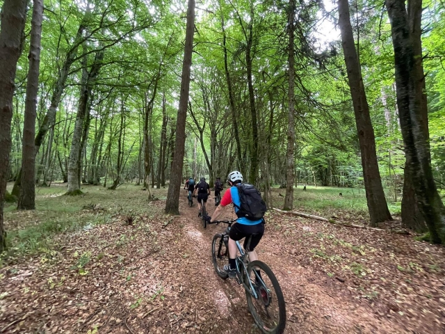 Passage par la forêt