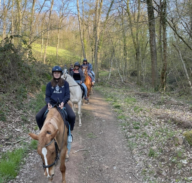 Balade équestre dans la forêt de Maringes