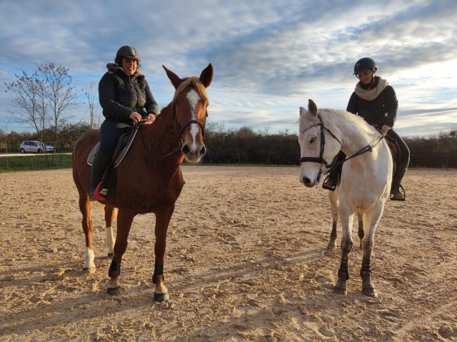 Des chevaux de toutes les tailles