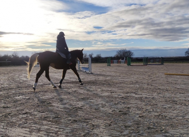 Prise en main pour randonnée à cheval