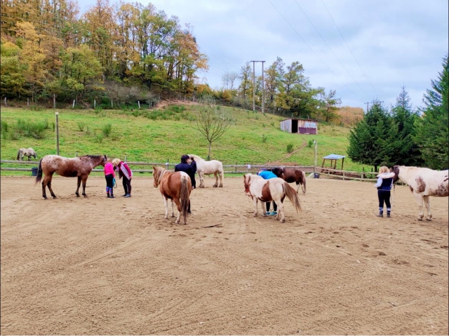  Rückkehr zum Reitclub nach dem Ponyreiten 